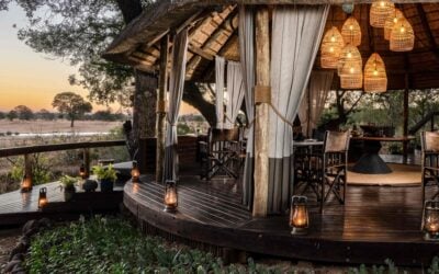 Blog – Kruger National Park Cape Town to Sabi Sabi Selati Camp – A Traveller’s Review