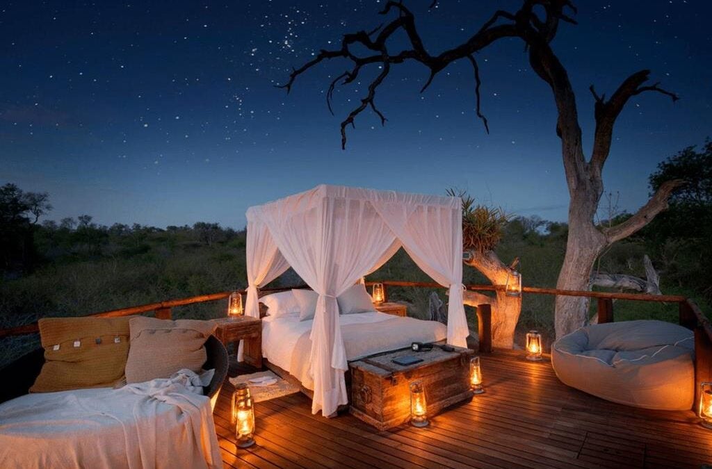 The Top Rated Treehouse Safari Lodges in Kruger and Sabi Sands Game reserve