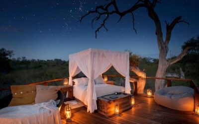 Blog – Kruger National Park The Top Rated Treehouse Safari Lodges in Kruger and Sabi Sands Game reserve