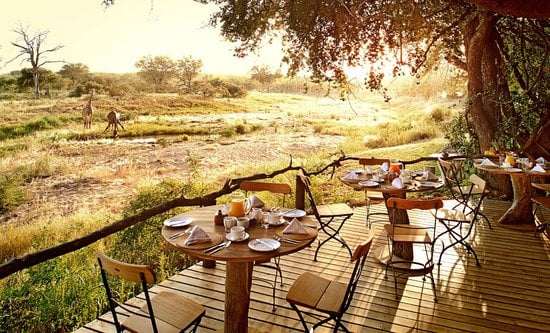 Kruger National Park: The Complete Visitor Guide for 2026 – Kruger National Park Kruger National Park: The Complete Visitor Guide for 2026 – Kruger National Park