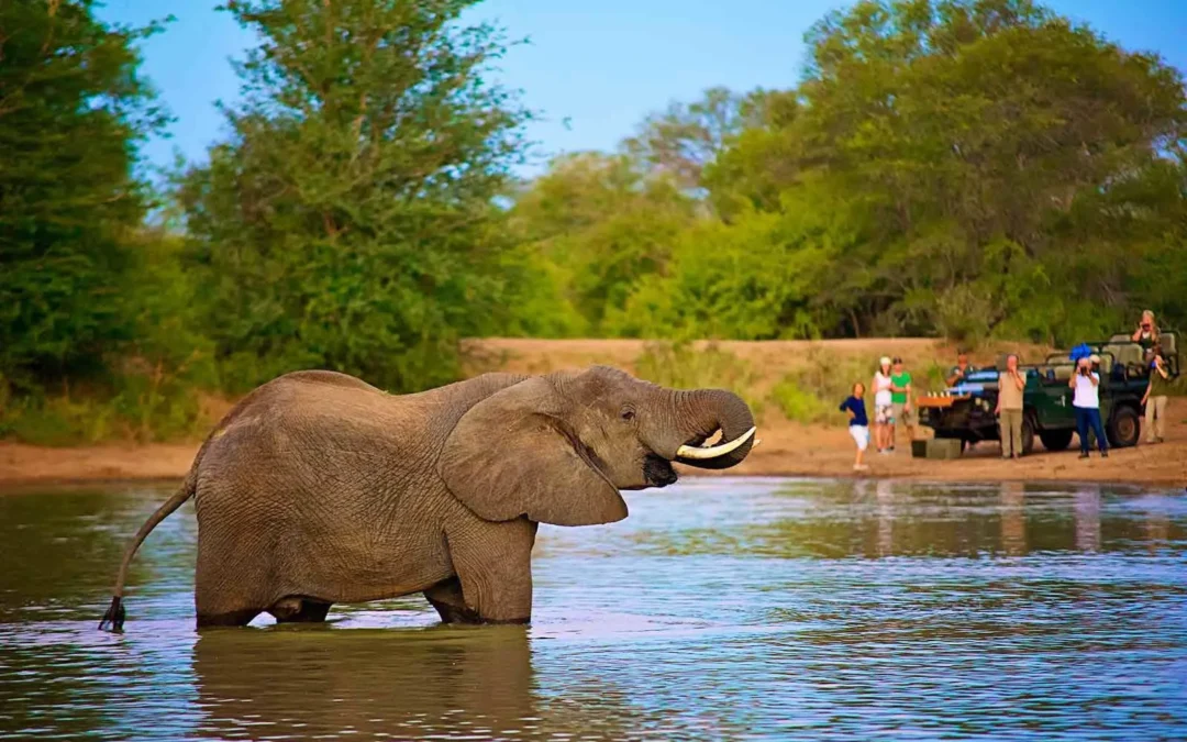 Klaserie Private Nature Reserve — Greater Kruger’s Untamed Wilderness