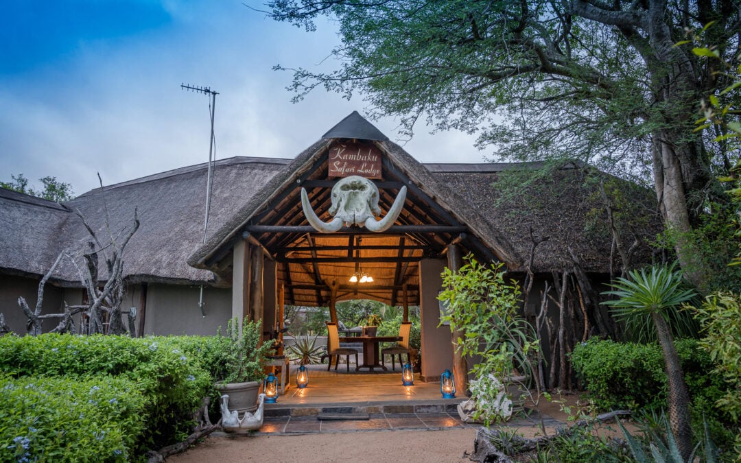 Kambaku Safari Lodge: Complete Guide to Rates, Rooms & What to Expect