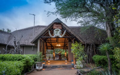 Blog – Kruger National Park Kambaku Safari Lodge: Complete Guide to Rates, Rooms & What to Expect