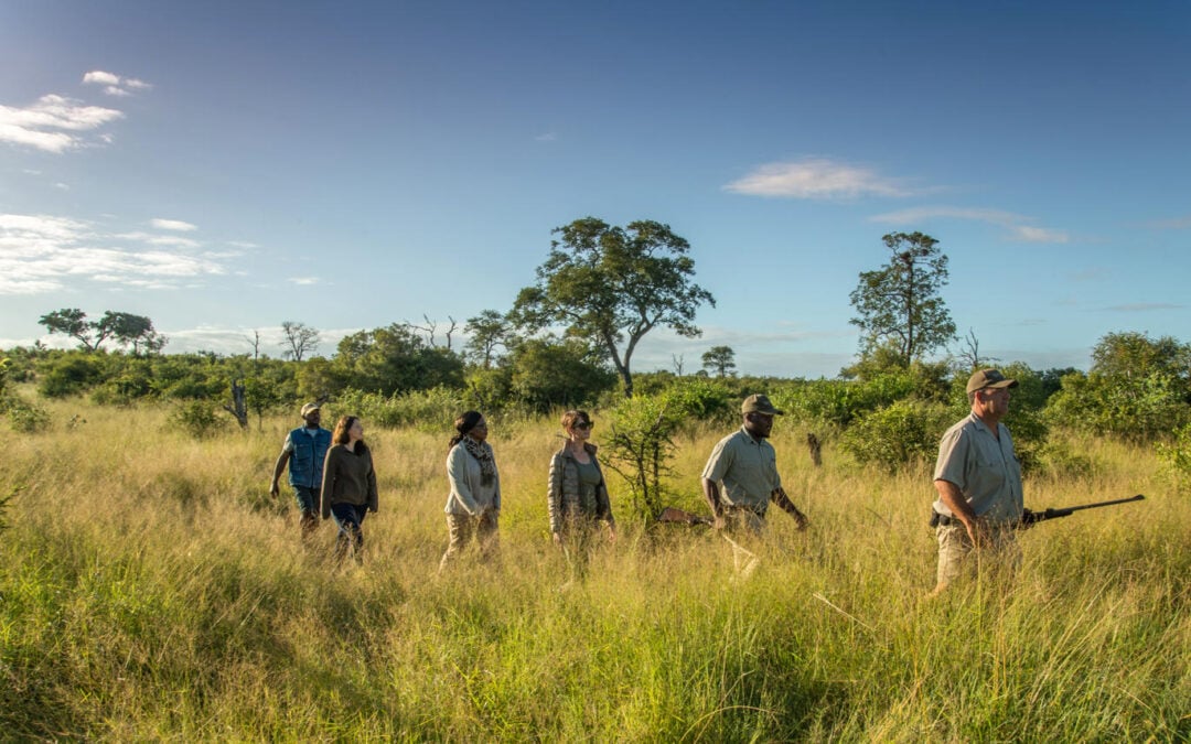 Kruger National Park Activities: Game Drives, Bush Walks, Night Drives & Wilderness Trails