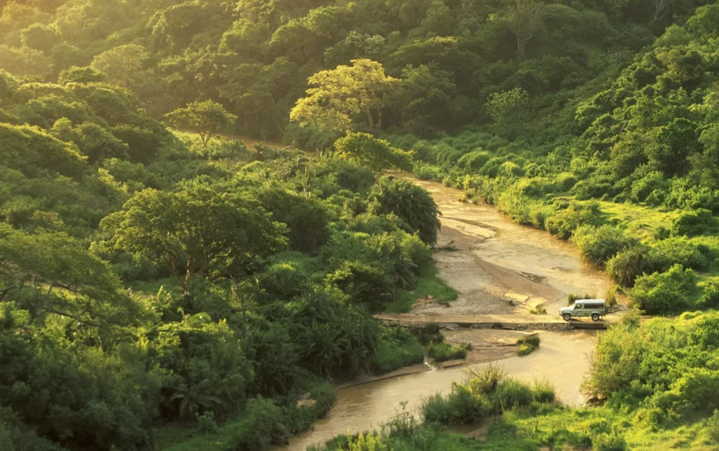Rhino Ridge Safari Lodge — Complete Safari Lodge Guide: Rates, Rooms & What to Expect – Kruger National Park Rhino Ridge Safari Lodge — Complete Safari Lodge Guide: Rates, Rooms & What to Expect – Kruger National Park
