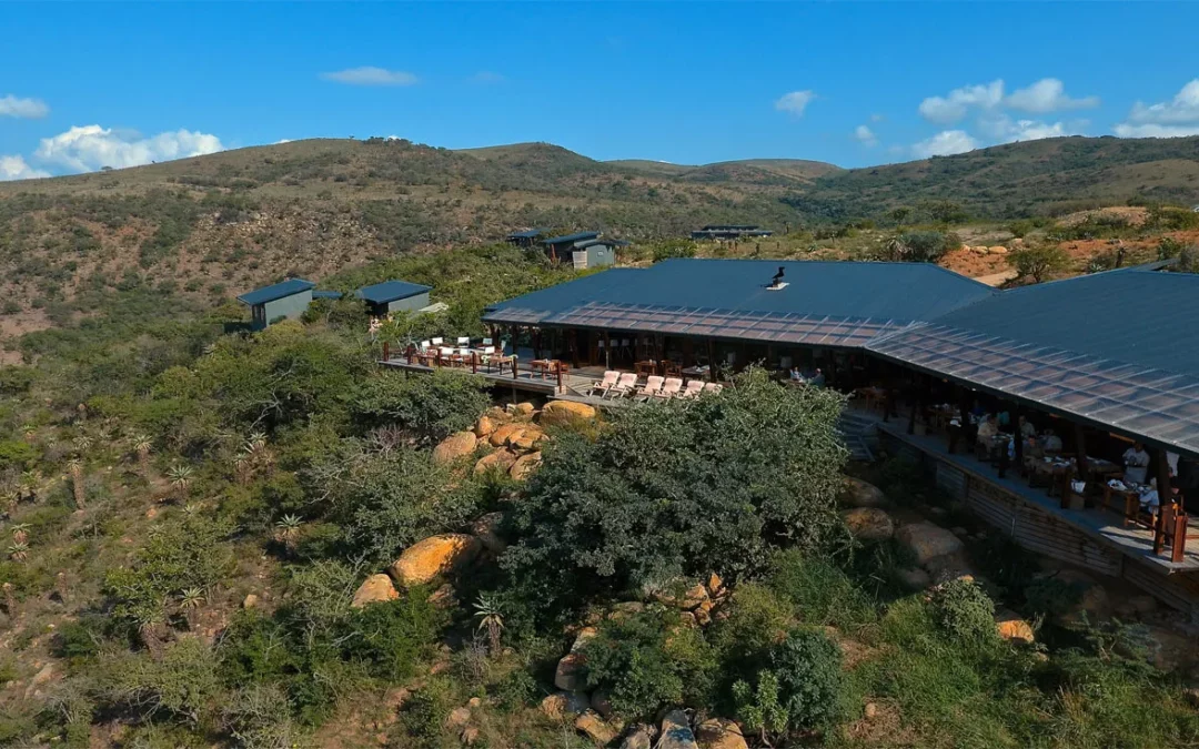Rhino Ridge Safari Lodge — Complete Safari Lodge Guide: Rates, Rooms & What to Expect
