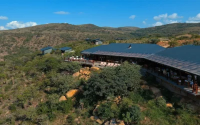 Rhino Ridge Safari Lodge — Complete Safari Lodge Guide: Rates, Rooms & What to Expect