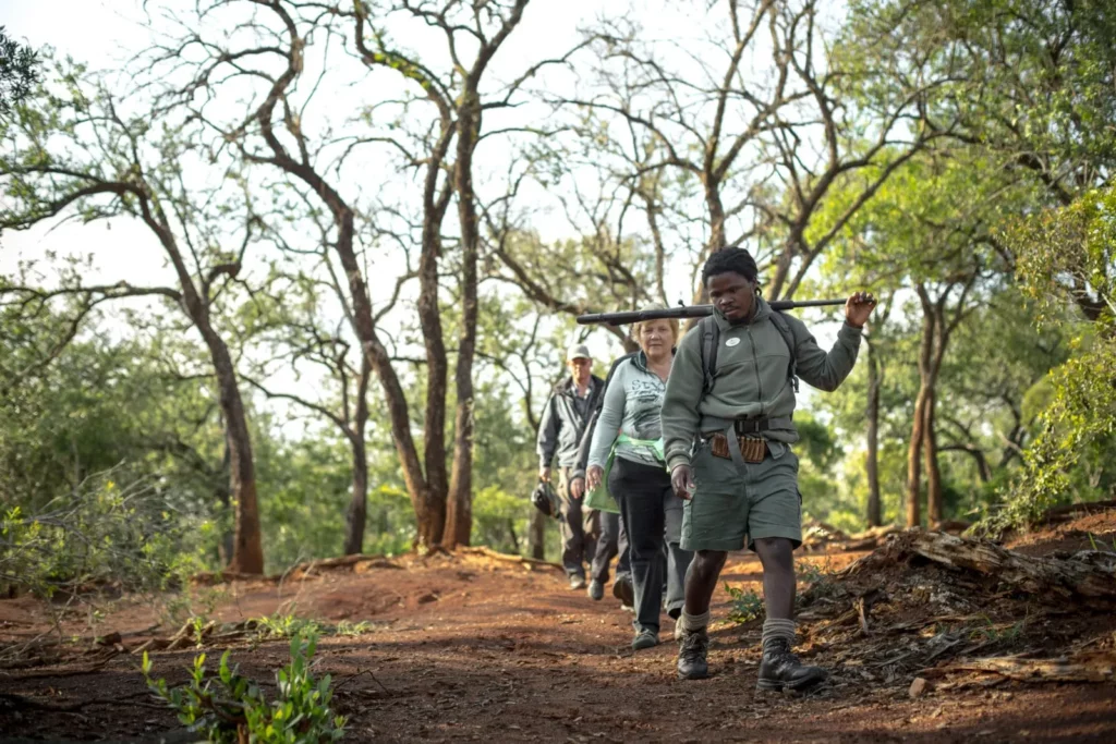 Rhino Ridge Safari Lodge — Complete Safari Lodge Guide: Rates, Rooms & What to Expect – Kruger National Park Rhino Ridge Safari Lodge — Complete Safari Lodge Guide: Rates, Rooms & What to Expect – Kruger National Park